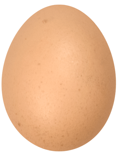 Floating egg 2