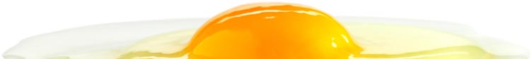 Footer egg