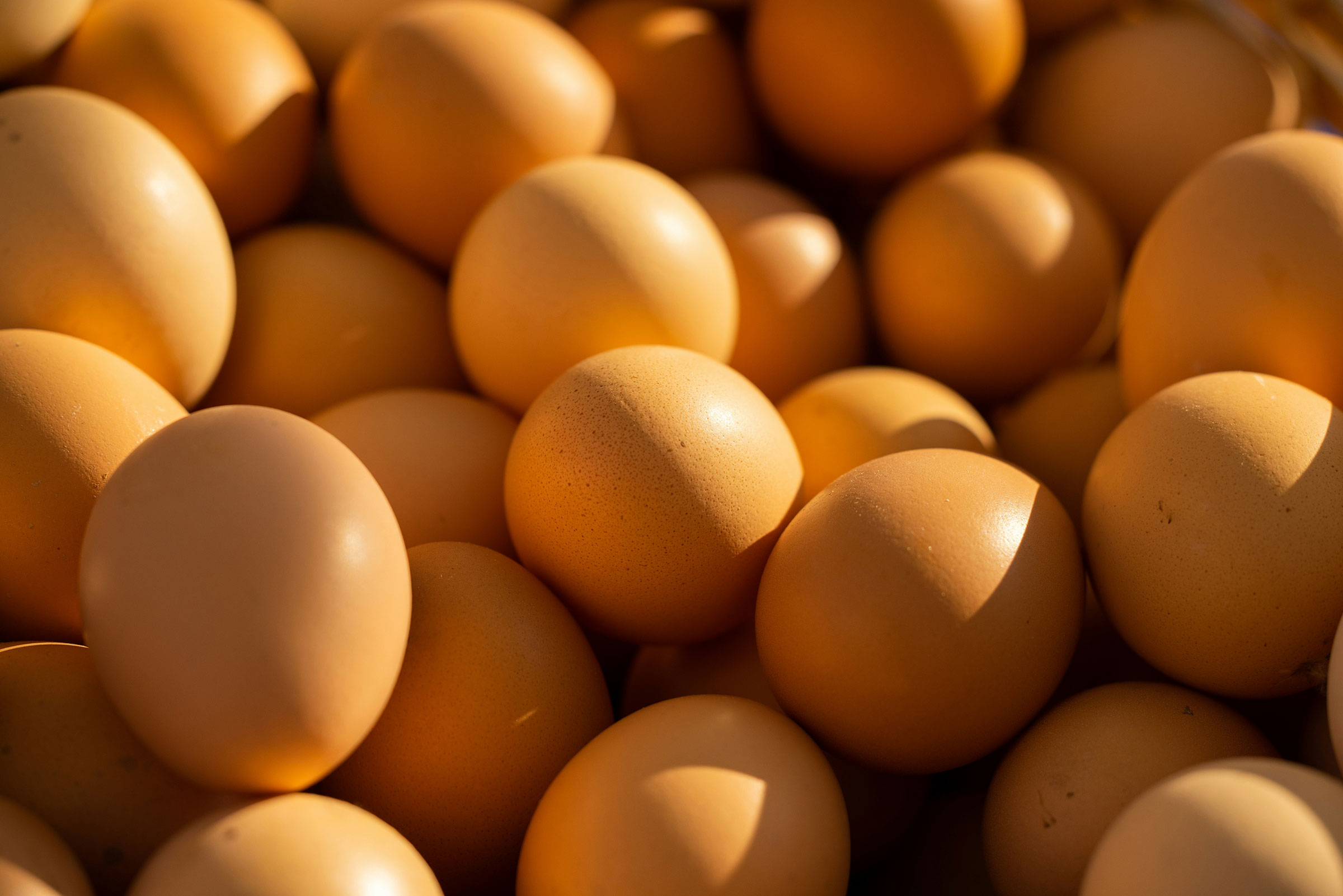Pace Farm Eggs
