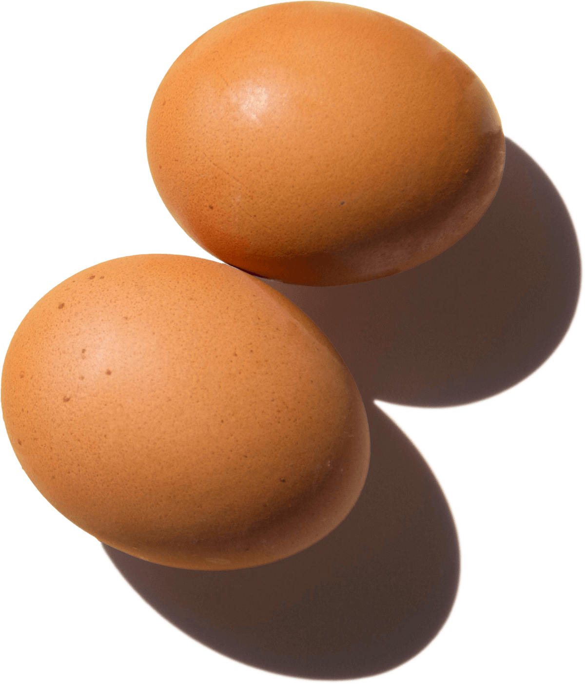 Pace Farm Eggs