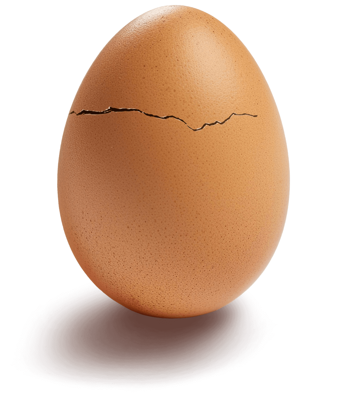 Pace Farm Eggs